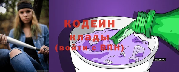 прущие грибы Абаза
