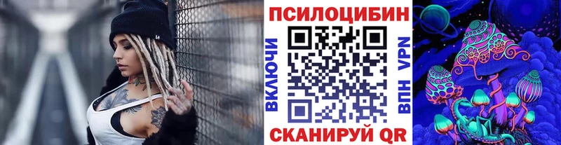 Галлюциногенные грибы Magic Shrooms  где купить наркоту  Чапаевск 
